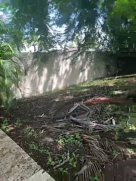 JohnnyBigShot online show from September 2025 03:50:02 PM