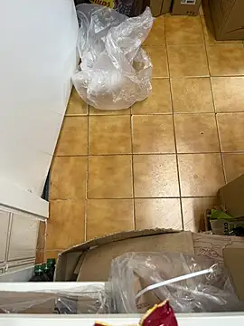 Snapshot of Mindnorthcam2 chatting on February 2026 07:48:01 AM Mindnorthcam2 online show from February 2026 07:48:01 AM