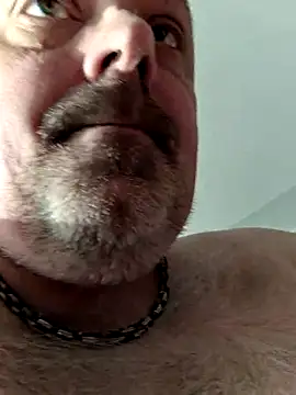 Snapshot of Bibear197511 chatting on November 2025 12:17:01 PM Bibear197511 online show from November 2025 12:17:01 PM