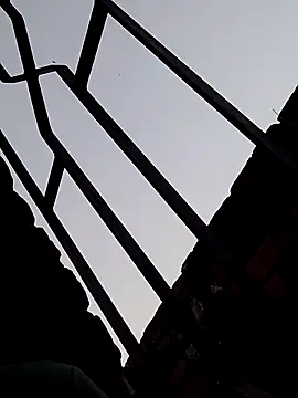 Snapshot of Shahidraza123465_ chatting on November 2025 11:14:01 AM Shahidraza123465 online show from November 2025 11:14:01 AM