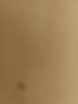 mprena online show from September 2025 02:17:01 PM