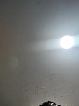 6lue6a6y69 online show from December 2024 01:12:01 AM