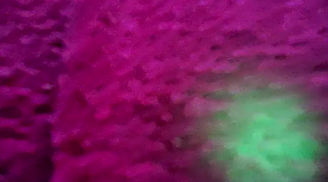 Snapshot of CZboobs chatting on February 2025 08:54:02 PM CZboobs online show from February 2025 08:54:02 PM