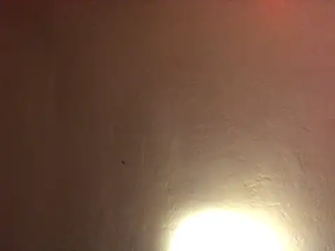 tattooed4you online show from February 2026 06:58:01 AM