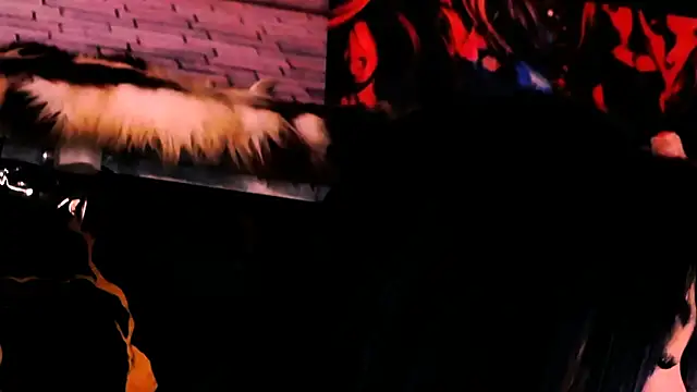 indian dreamgirl online show from April 2026 12:05:02 PM