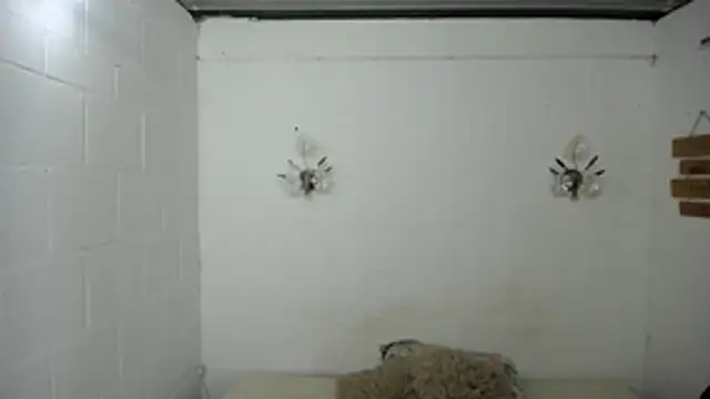 SexyKataShow online show from July 2026 09:33:02 PM