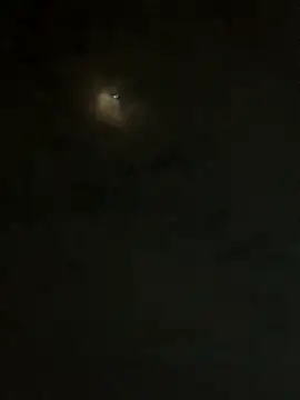 jesusthedonkey online show from November 2025 01:31:01 AM