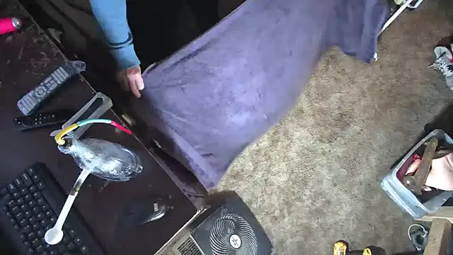 sex4fun 21 online show from March 2025 08:48:02 AM