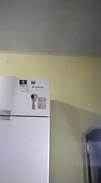 catdool online show from February 2025 10:07:01 AM