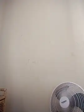 catdool online show from February 2025 12:02:02 PM