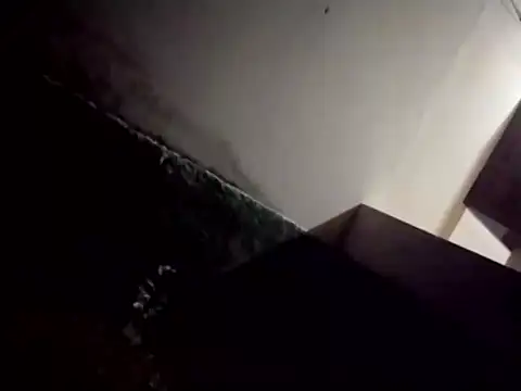 catdool online show from February 2025 12:43:01 AM