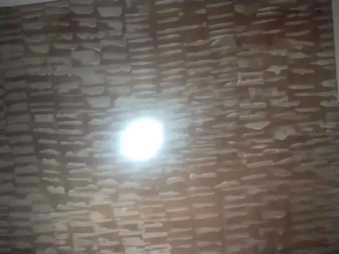 catdool online show from September 2025 05:04:02 PM