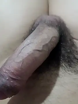 DozenDistance online show from February 2026 04:19:01 AM