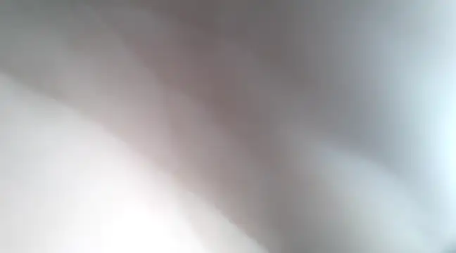 Dalton2288 online show from January 2025 07:50:01 PM