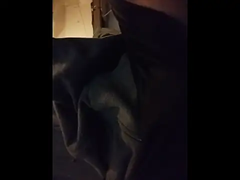 Snapshot of leonar0101 chatting on February 2026 07:31:02 AM leonar0101 online show from February 2026 07:31:02 AM