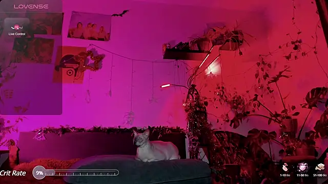 Snapshot of olivecum chatting on January 2025 04:01:02 PM olivecum online show from January 2025 04:01:02 PM