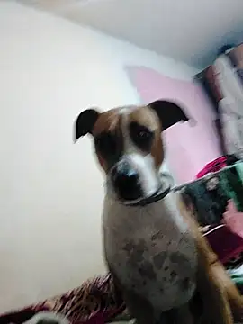 Snapshot of JoLeNe27 chatting on October 2025 04:54:01 AM JoLeNe27 online show from October 2025 04:54:01 AM