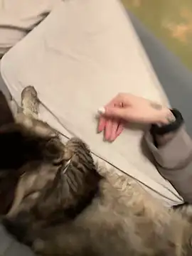 Snapshot of GraceCandy chatting on February 2025 10:14:02 PM GraceCandy online show from February 2025 10:14:02 PM