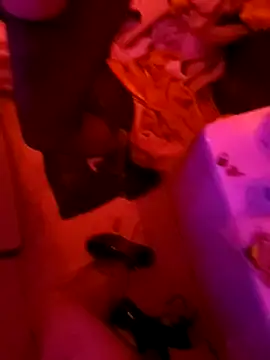 Misspadrona88 online show from February 2025 10:49:02 PM