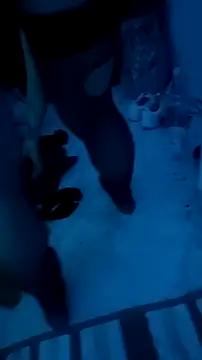 Misspadrona88 online show from December 2025 10:37:01 PM