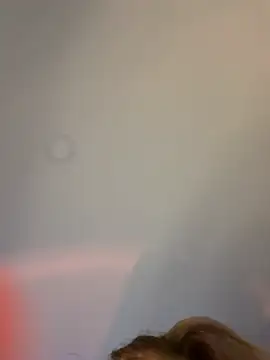 curchez  online show from February 2025 11:33:02 PM