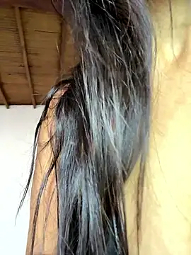 Snapshot of pleasureMyAss- chatting on January 2026 05:27:02 PM pleasureMyAss- online show from January 2026 05:27:02 PM