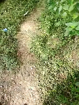 Snapshot of rameshmry1 chatting on January 2026 04:59:01 AM rameshmry1 online show from January 2026 04:59:01 AM