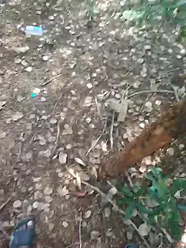 Snapshot of rameshmry1 chatting on February 2026 08:59:02 AM rameshmry1 online show from February 2026 08:59:02 AM