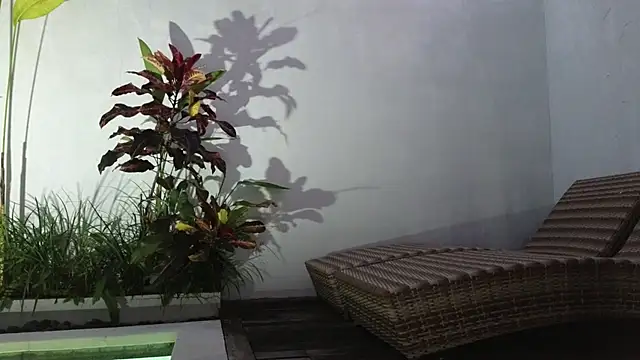 Snapshot of TammiLou chatting on March 2025 10:52:01 AM TammiLou online show from March 2025 10:52:01 AM