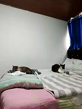 Snapshot of Vicky_Rosse chatting on November 2025 05:37:01 PM Vicky Rosse online show from November 2025 05:37:01 PM