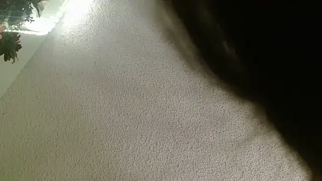 Snapshot of Yescuhh420 chatting on January 2026 09:26:02 AM Yescuhh420 online show from January 2026 09:26:02 AM