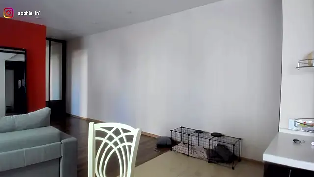  in yan online show from March 2026 04:29:01 AM