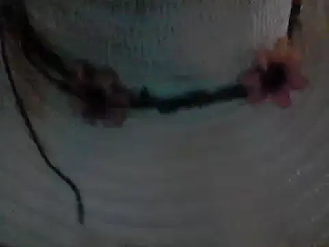 Snapshot of CROSSCOUNTRY1 chatting on December 2024 07:58:02 PM CROSSCOUNTRY1 online show from December 2024 07:58:02 PM