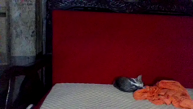 Snapshot of axomen chatting on February 2025 03:58:02 AM axomen online show from February 2025 03:58:02 AM