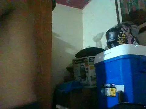 Elxdelvergon online show from July 2026 08:07:01 AM