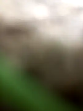 FinableKnee online show from October 2025 03:04:01 AM