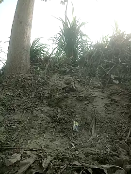 FinableKnee online show from October 2025 04:01:01 AM