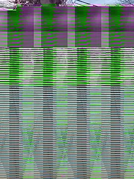 Alicbranca online show from September 2025 04:41:02 PM