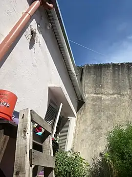 Alicbranca online show from February 2026 02:05:02 PM