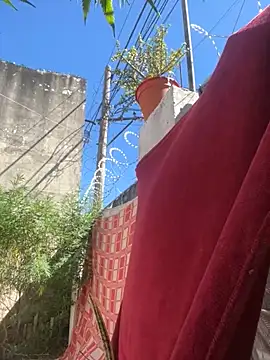 Alicbranca online show from March 2026 02:34:02 PM