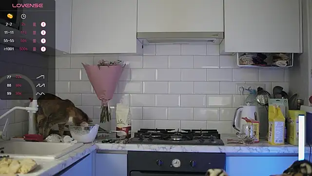 melanielwithu online show from December 2024 09:41:01 PM