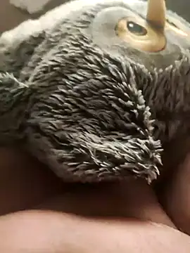 Snapshot of faphouse186582 chatting on January 2025 05:10:02 AM faphouse186582 online show from January 2025 05:10:02 AM