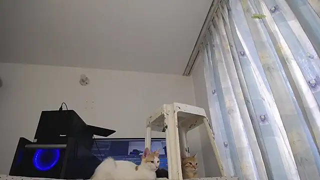 eolicasex online show from March 2025 04:00:02 PM