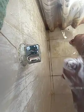 Snapshot of MisaelR10 chatting on September 2025 09:29:02 PM MisaelR10 online show from September 2025 09:29:02 PM