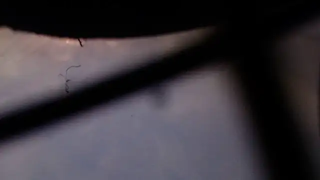 Snapshot of Cordt27 chatting on February 2026 04:02:02 PM Cordt27 online show from February 2026 04:02:02 PM