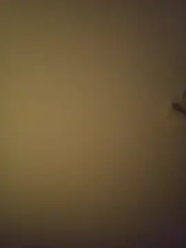 Snapshot of SMOKERBEASTBR chatting on February 2026 06:17:01 AM SMOKERBEASTBR online show from February 2026 06:17:01 AM