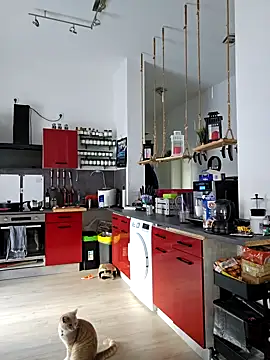 Snapshot of Trucker_Hunter chatting on March 2025 08:04:02 AM Trucker Hunter online show from March 2025 08:04:02 AM