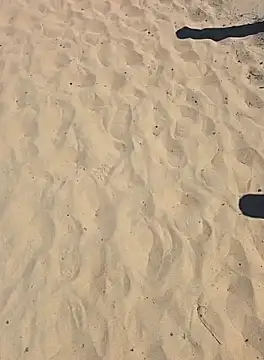 Snapshot of Trucker_Hunter chatting on September 2025 02:22:02 PM Trucker Hunter online show from September 2025 02:22:02 PM