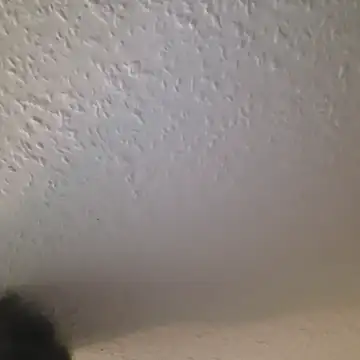 Zauberstab8 online show from October 2025 08:53:02 PM