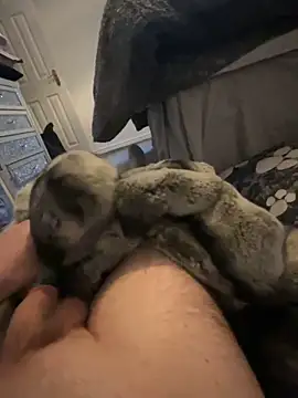 Snapshot of Furdale chatting on January 2025 03:46:02 PM Furdale online show from January 2025 03:46:02 PM